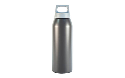 Stainless Steel Bottle with Durable Plastic Carry Handle