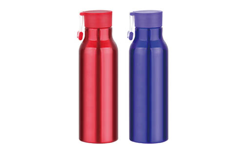 Aluminum Water Bottle with Handle and Flat Sports Cap