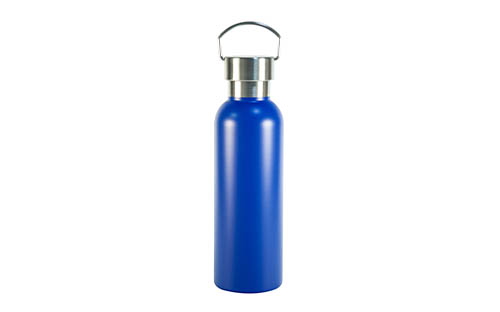 All-Steel 304 Stainless Steel Bottle with Lid & Handle