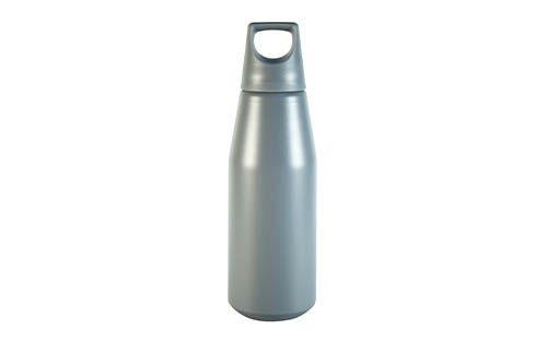 Stainless Steel Bottle with Durable Plastic Carry Handle