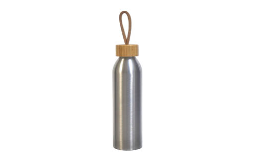 Stainless Steel Water Bottle with Sturdy Carry Handle