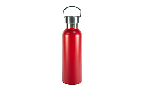 All-Steel 304 Stainless Steel Bottle with Lid & Handle