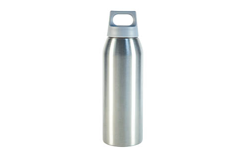 Stainless Steel Bottle with Durable Plastic Carry Handle