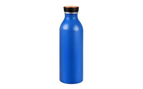 Sleek Aluminum Water Bottle with Simple Screw Cap
