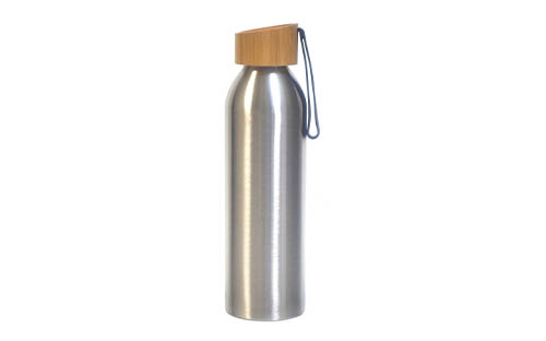 Stainless Steel Water Bottle with Sturdy Carry Handle