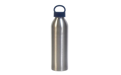 Stainless Steel Water Bottle with Sturdy Carry Handle