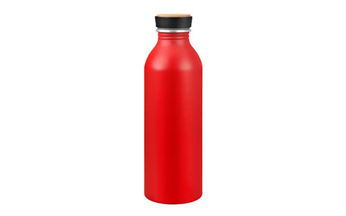 Sleek Aluminum Water Bottle with Simple Screw Cap